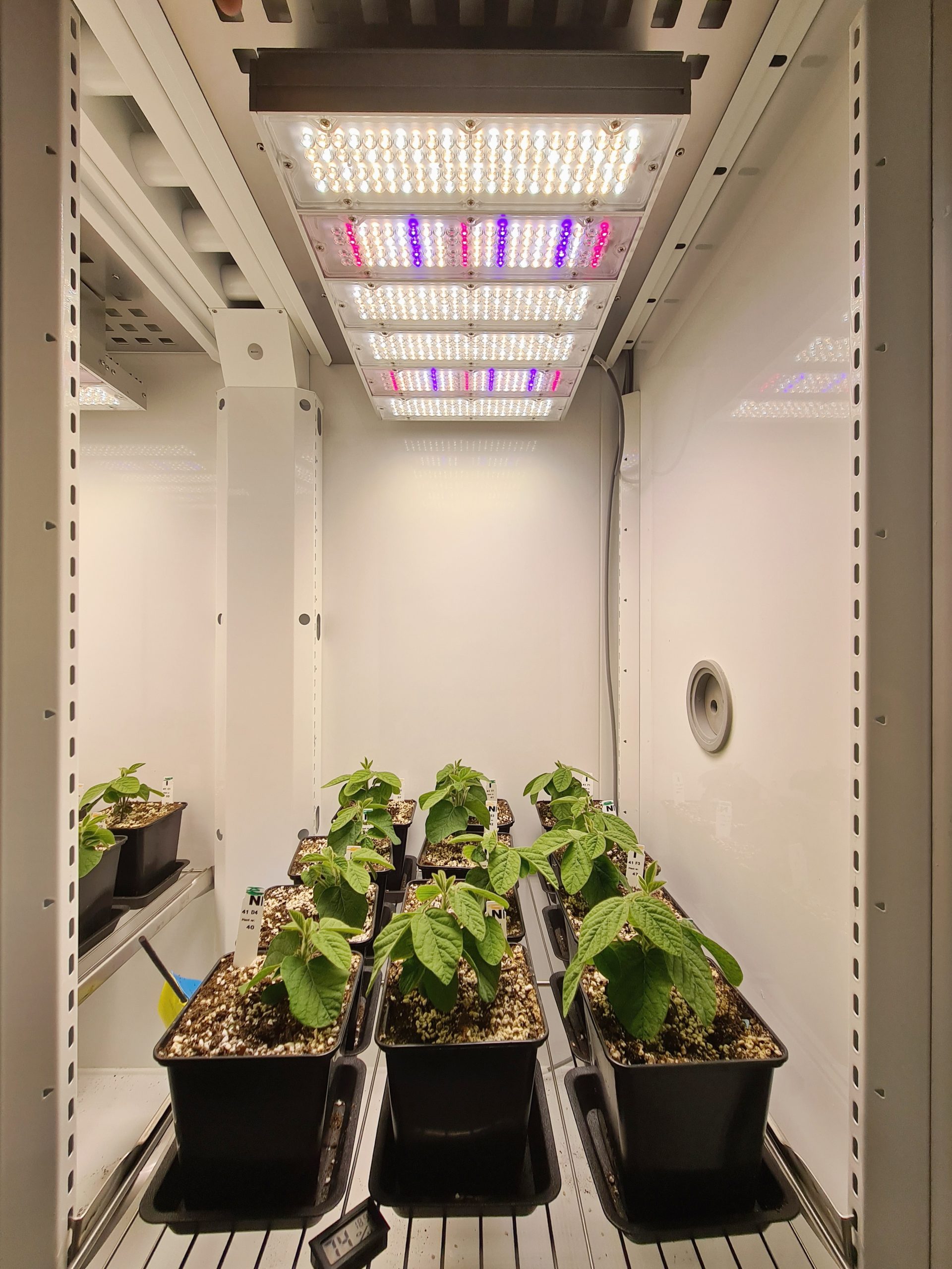 Aralab-Soy-growth-chamber-scaled