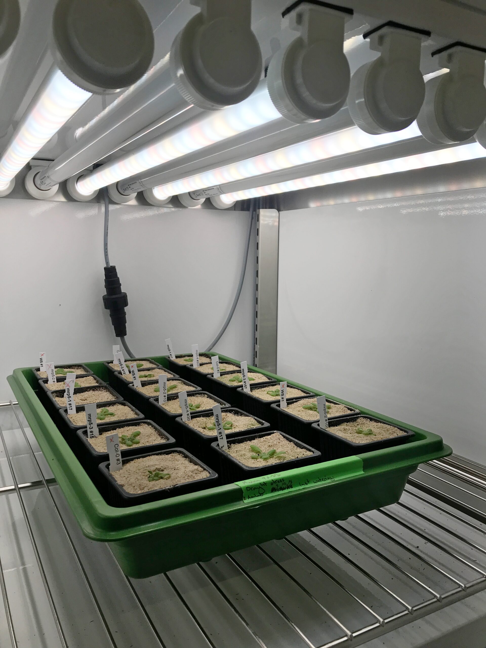 UN-ZURICH-BOTANIC-INSTITUTE-scaled-1