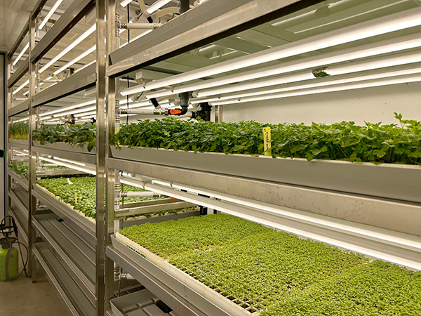 FitoClima-PR-Production-Rooms-05