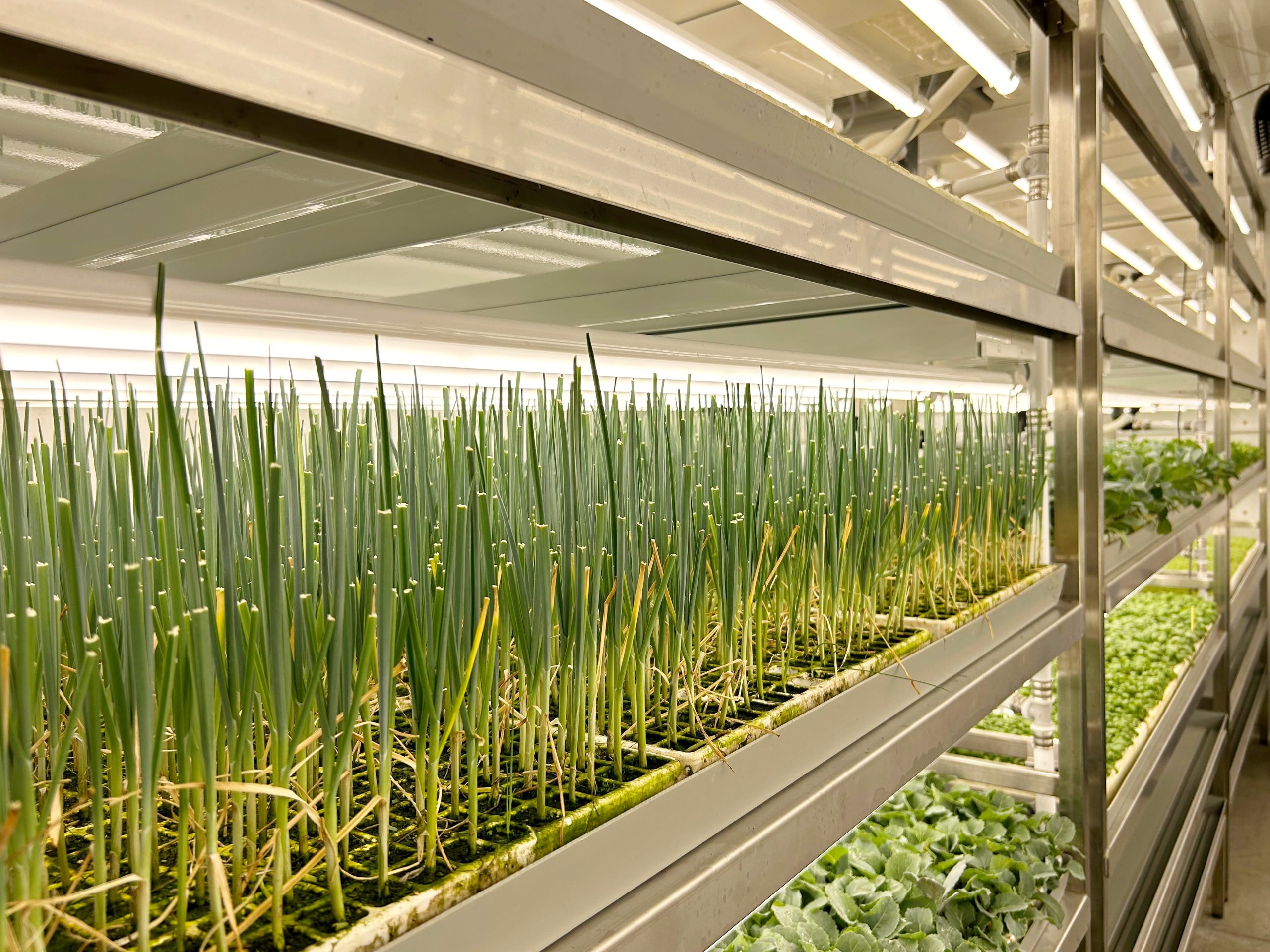 FitoClima-PR-Production-Rooms-12-scaled