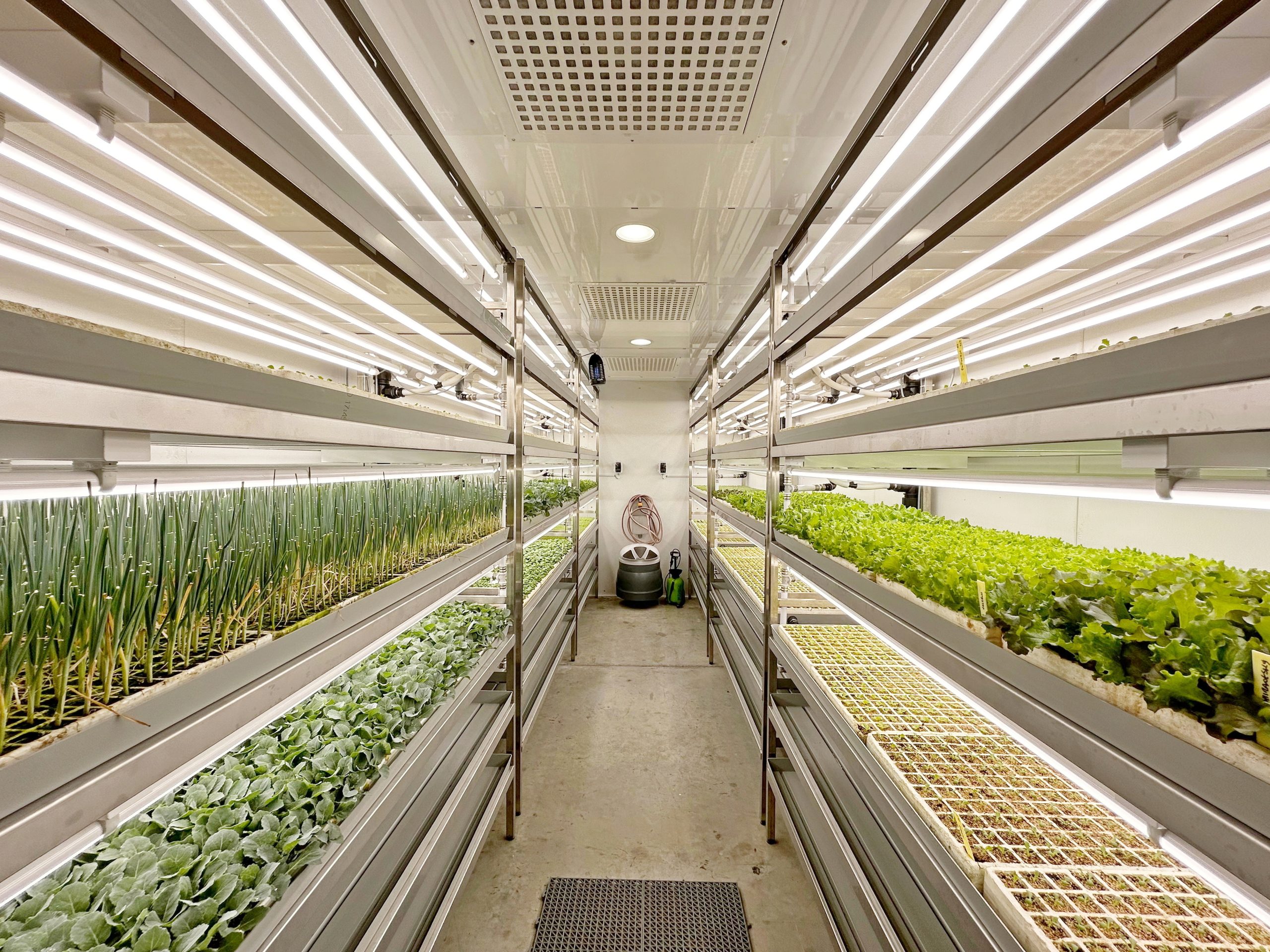 FitoClima-PR-Production-Rooms-32-scaled