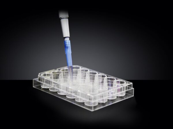 Kugelmeiers 3D Cell Culture Plates - Sphericalplate 5D (SP5D) - 6-Well Plate